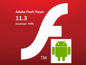 Download Flash Player 11.3
